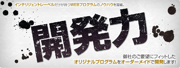 開発力ご要望にフィットしたオリジナルプログラムをオーダーメイドで開発いたします。