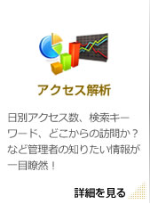 アクセス解析 日別アクセス数、検索キーワード、どこからの訪問か？ など管理者の知りたい情報が一目瞭然！