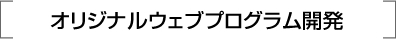 オリジナルプログラム開発