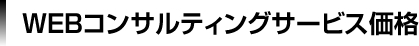 WEBコンサルティングサービス価格