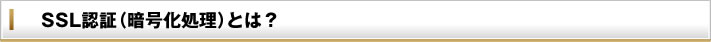 SSL認証（暗号化処理）とは？