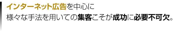 インターネット広告を中心に様々な手法を用いての集客こそが成功に必要不可欠。