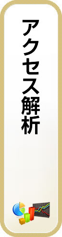 アクセス解析