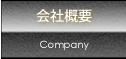 ЊTv